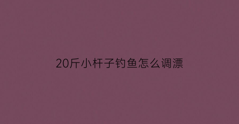 20斤小杆子钓鱼怎么调漂(20斤小杆子钓鱼怎么调漂好)