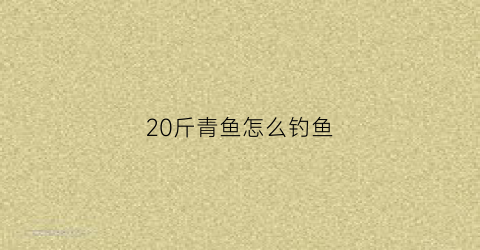 20斤青鱼怎么钓鱼