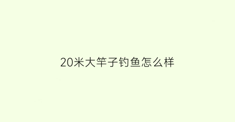 20米大竿子钓鱼怎么样(20米一28米钓鱼竿推荐)