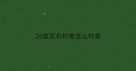 26度左右钓鱼怎么钓鱼