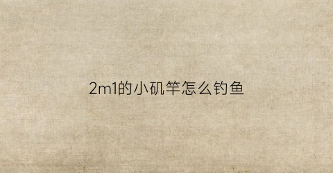 2m1的小矶竿怎么钓鱼(21矶竿)