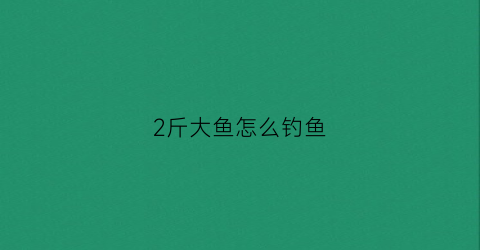 2斤大鱼怎么钓鱼(2斤大鱼怎么钓鱼视频)