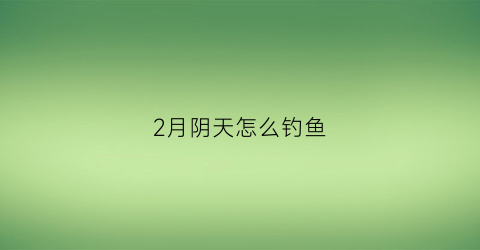 2月阴天怎么钓鱼(2月份雨后钓鱼)