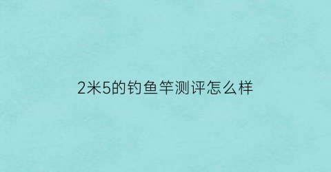 2米5的钓鱼竿测评怎么样(24米的鱼竿)