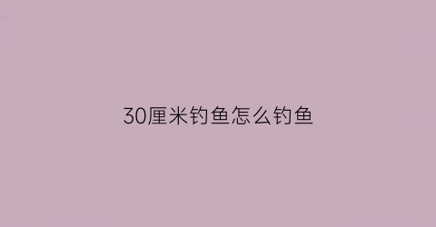 “30厘米钓鱼怎么钓鱼(30厘米浅水钓鱼技巧)