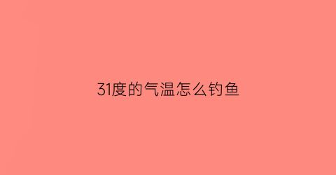 31度的气温怎么钓鱼