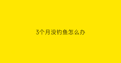 3个月没钓鱼怎么办(三个月不喂鱼会死吗)