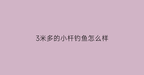 “3米多的小杆钓鱼怎么样(3米手竿钓鱼怎么样)