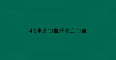 “45米的钓鱼杆怎么钓鱼(45米鱼竿能钓多大的鱼)