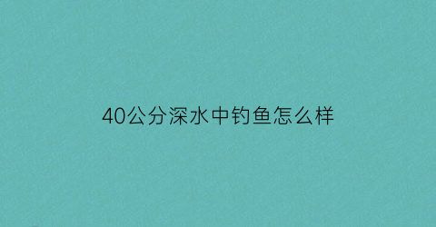 40公分深水中钓鱼怎么样(四十公分水深钓鱼)