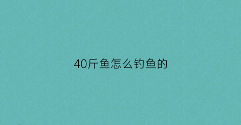 40斤鱼怎么钓鱼的