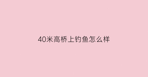 40米高桥上钓鱼怎么样(40米是什么桥)