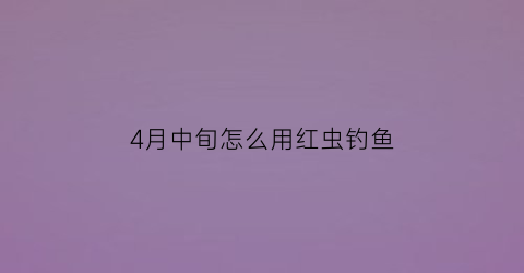 4月中旬怎么用红虫钓鱼