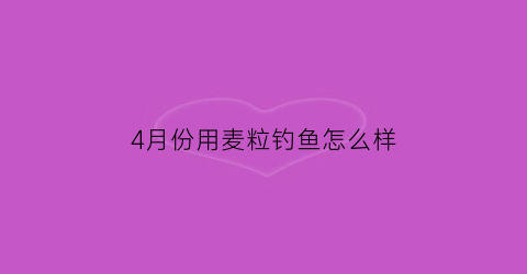 4月份用麦粒钓鱼怎么样(几月份用麦粒钓鲫鱼)