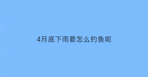 4月底下雨要怎么钓鱼呢