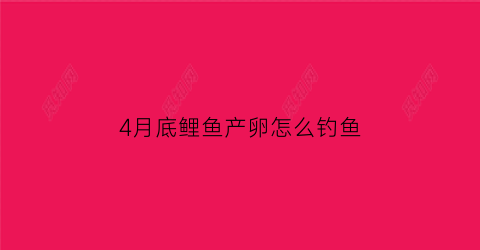 “4月底鲤鱼产卵怎么钓鱼(四月份的鲤鱼怎么钓)