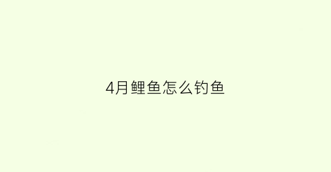 4月鲤鱼怎么钓鱼