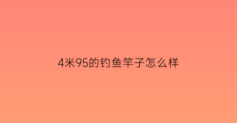 4米95的钓鱼竿子怎么样(4米95的钓鱼竿子怎么样好用吗)