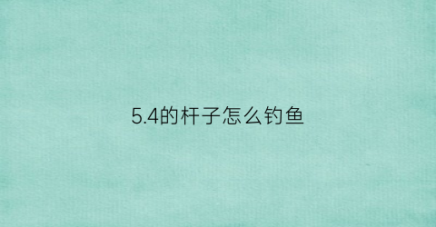 54的杆子怎么钓鱼(野钓54鱼竿搭配线组)