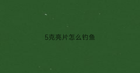 5克亮片怎么钓鱼(5克亮片用多大钩)