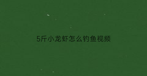 5斤小龙虾怎么钓鱼视频(五斤小龙虾放多少盐)