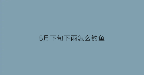 5月下旬下雨怎么钓鱼