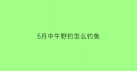 5月中午野钓怎么钓鱼
