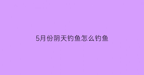 5月份阴天钓鱼怎么钓鱼