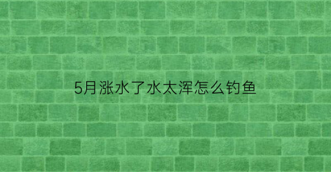 5月涨水了水太浑怎么钓鱼