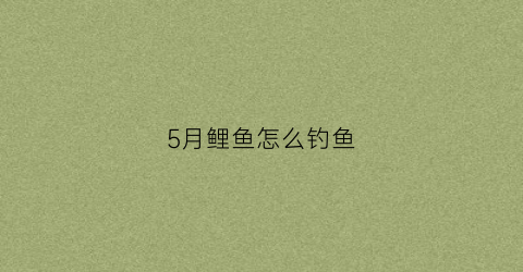 5月鲤鱼怎么钓鱼(五月钓鲤鱼)
