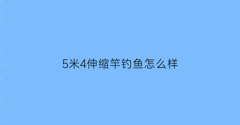 5米4伸缩竿钓鱼怎么样