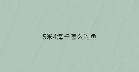 5米4海杆怎么钓鱼