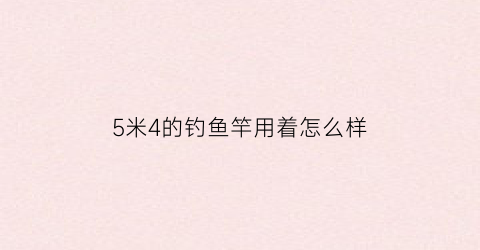 5米4的钓鱼竿用着怎么样