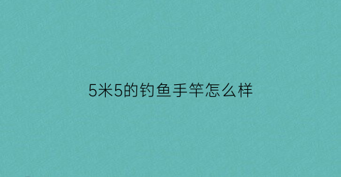 5米5的钓鱼手竿怎么样(5米5的钓鱼手竿怎么样啊)