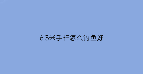 63米手杆怎么钓鱼好(6米3手竿用几h)
