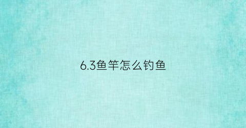 6.3鱼竿怎么钓鱼