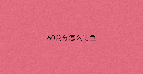 60公分怎么钓鱼