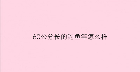 “60公分长的钓鱼竿怎么样(63米鱼竿)