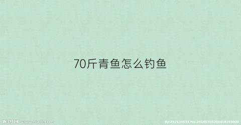 70斤青鱼怎么钓鱼