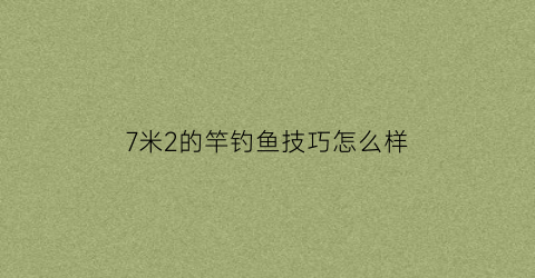 7米2的竿钓鱼技巧怎么样