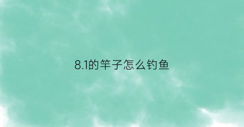 81的竿子怎么钓鱼(81的鱼竿适合用什么漂)