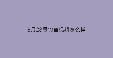 8月28号钓鱼视频怎么样