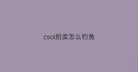 “csol拍卖怎么钓鱼(csol拍卖)