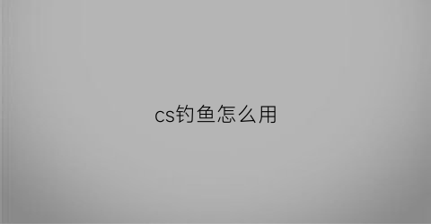 “cs钓鱼怎么用(cs钓鱼网站)