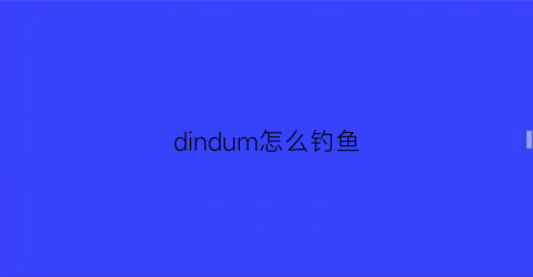 dindum怎么钓鱼(ding钩)