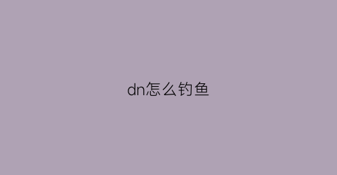 “dn怎么钓鱼