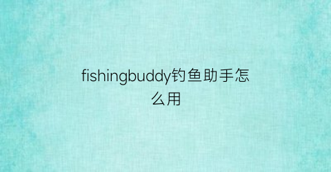 fishingbuddy钓鱼助手怎么用(钓鱼小助手)
