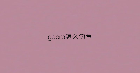 gopro怎么钓鱼