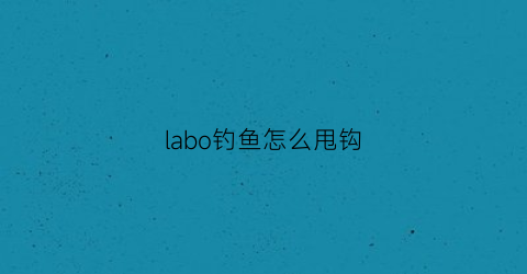 labo钓鱼怎么甩钩(如何甩鱼钩)