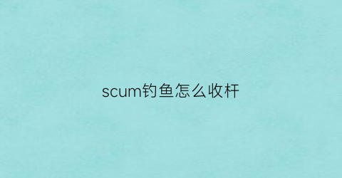 “scum钓鱼怎么收杆(scum如何钓大鱼)